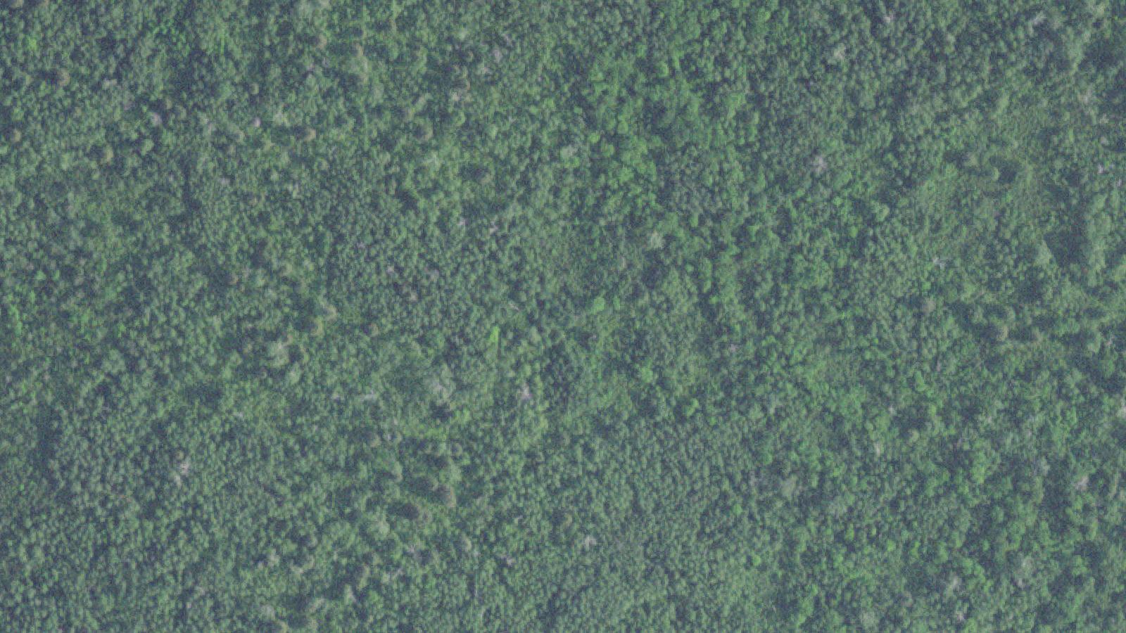 Aerial survey view of Taconite Harbor Ghost Town