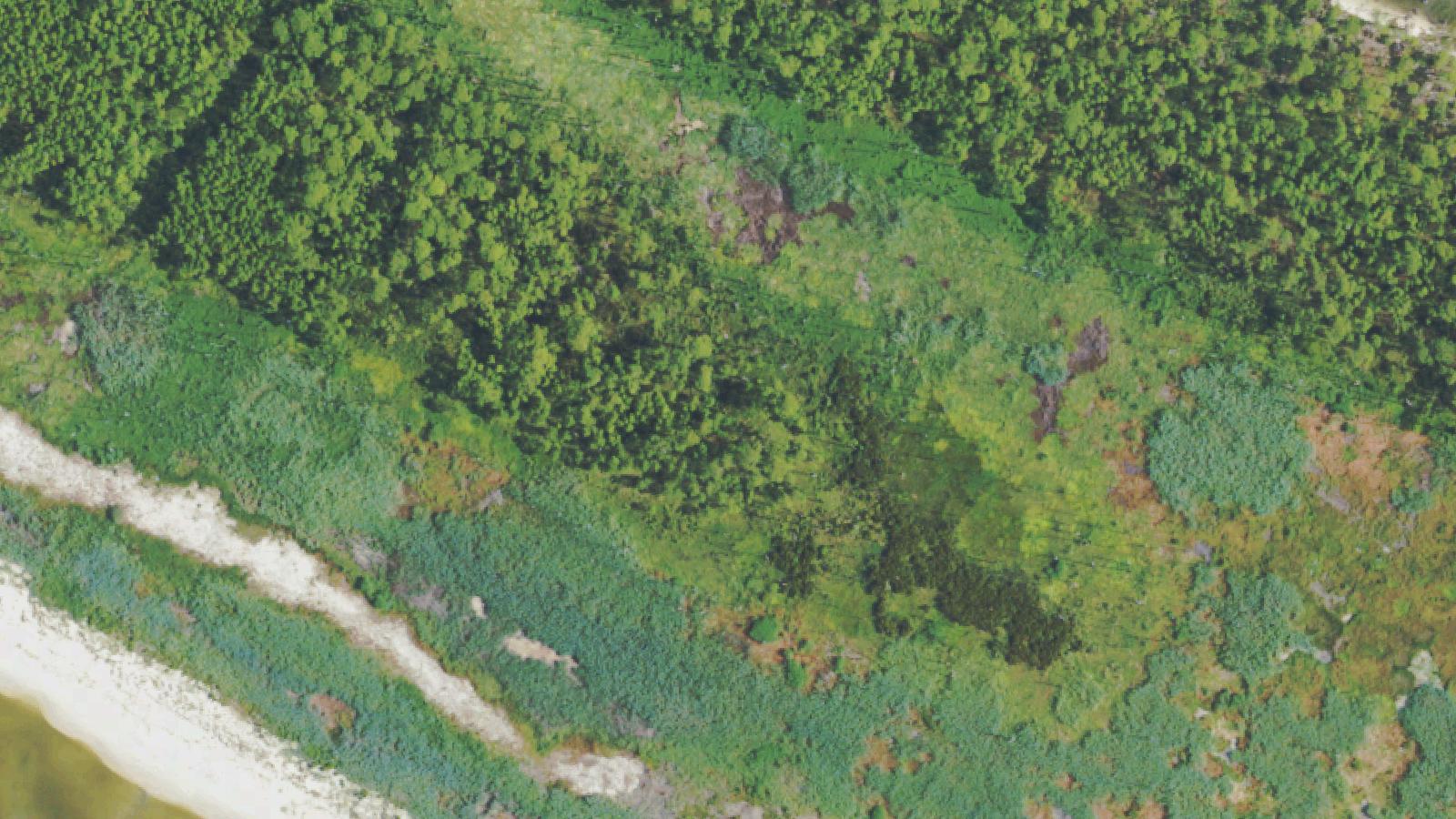 Aerial survey view of Deer Island
