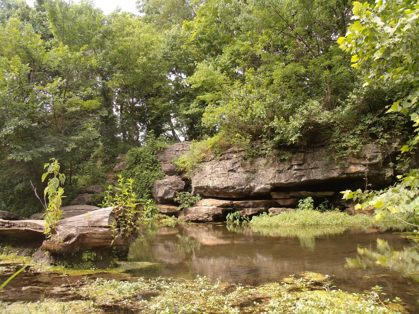 Photo of Battle of Carthage State Historic Site