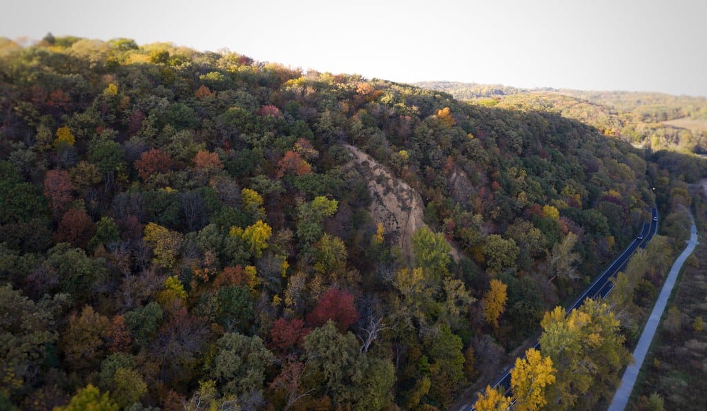 Fall Foliage at Hummel Park