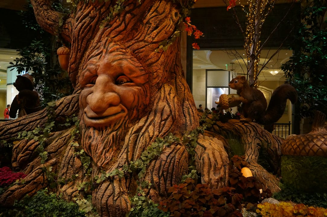 Photo of Bellagio