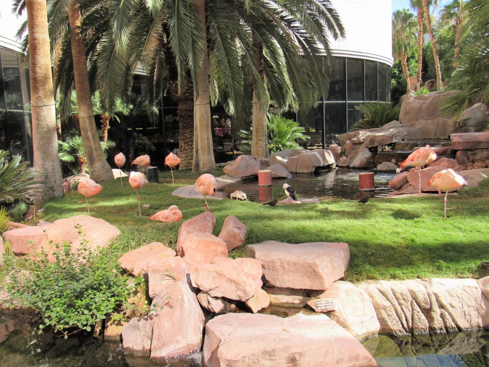 Photo of Flamingo Las Vegas Hotel & Casino