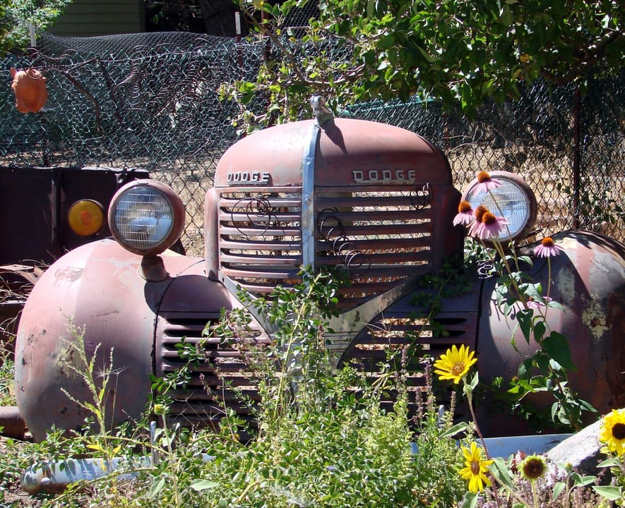 (1 in a 17-picture set, Virginia City)
This scene was discovered in a front yard of a house in Virginia City, NV.  The old Dodge truck (what was left of it) had been rusting there for years when the homeowner decided to beautify it with flowers.  The contrast was eye catching.