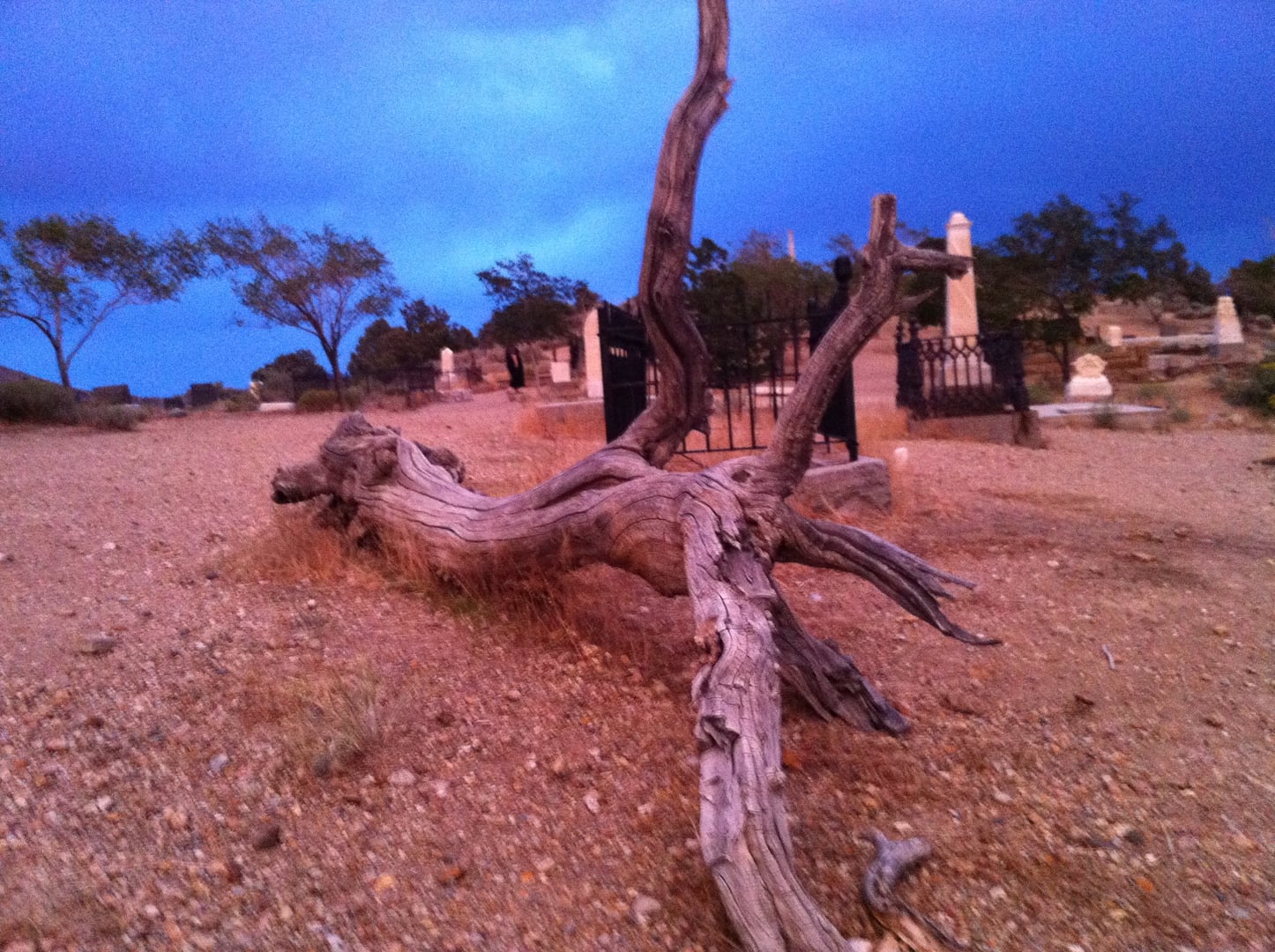 View across Silver Terrace Cemetery in Virginia City, Nevada, showing iron-fenced grave sections on the hillside
