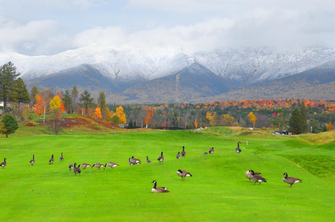 Photo of Omni Mount Washington Resort