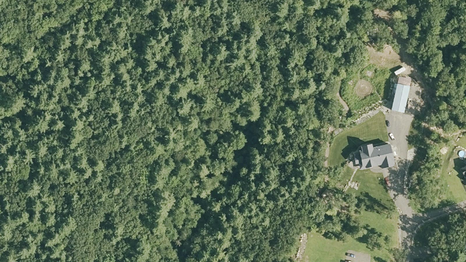 Aerial survey view of Pine Hill Cemetery