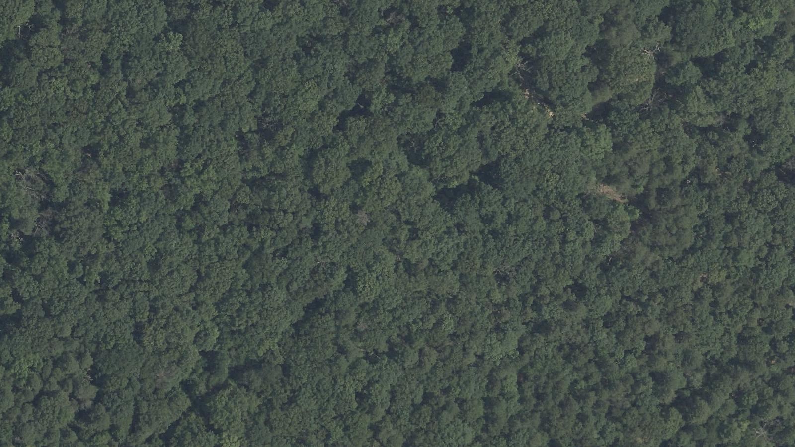 Aerial survey view of Berry's Chapel