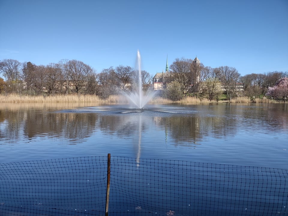 Branch Brook Lake, Newark
