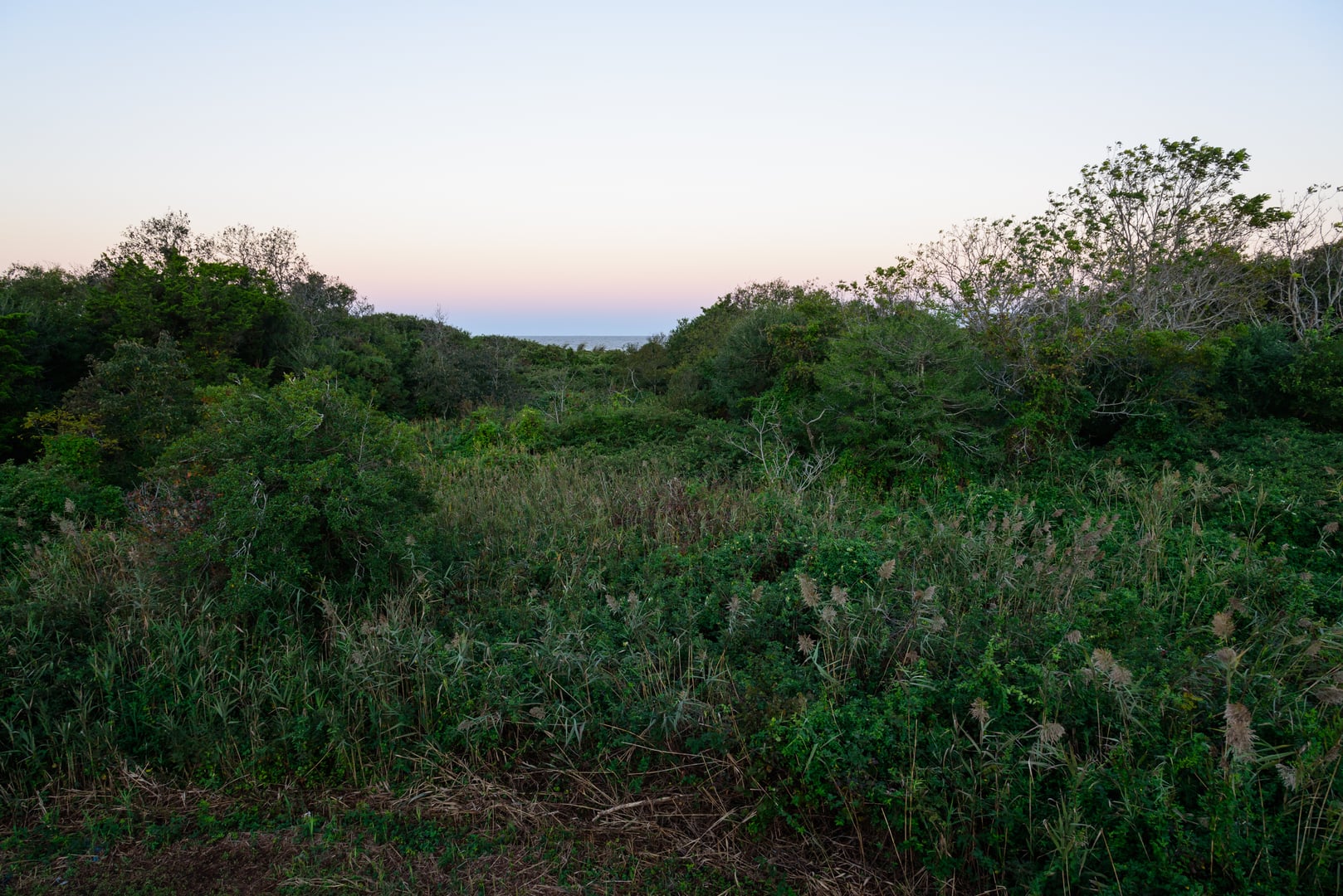 Photo of Higbee Beach Wildlife Management Area