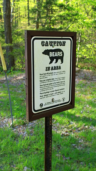 Photo of Jenny Jump State Forest