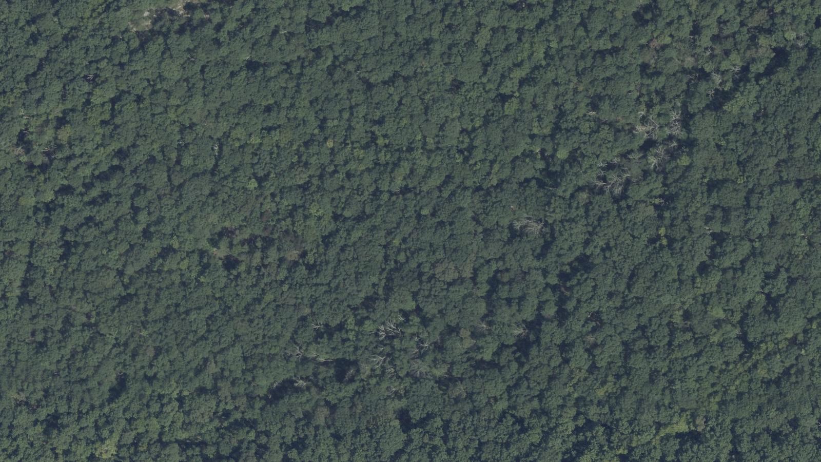 Aerial survey view of Walpack Center Ghost Town