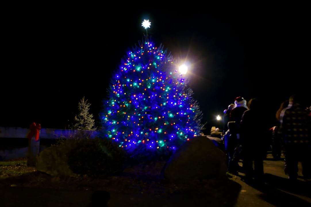 First Annual XMas Tree Lighting