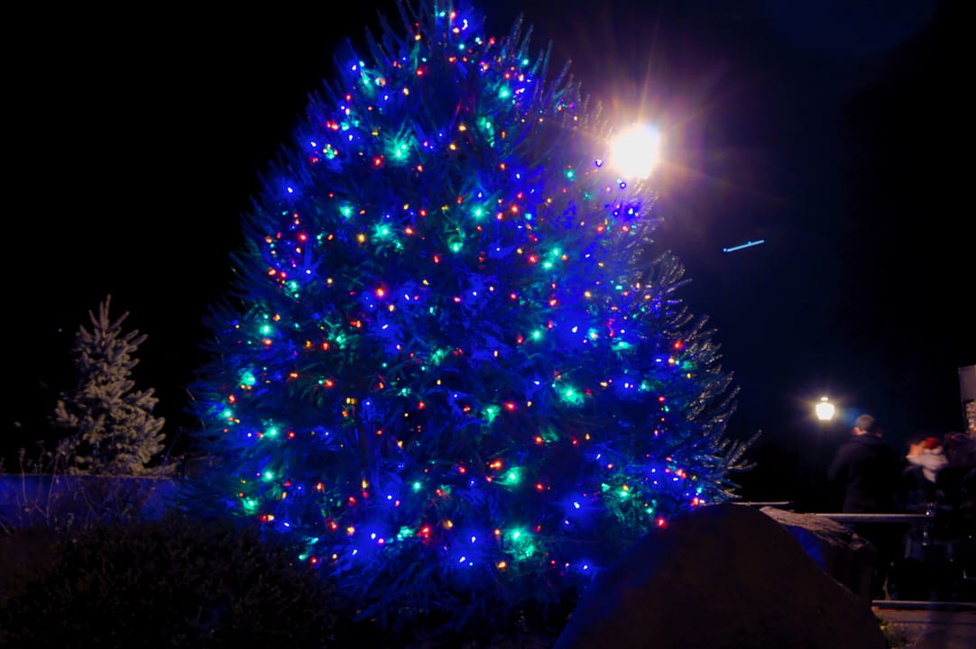 First Annual XMas Tree Lighting