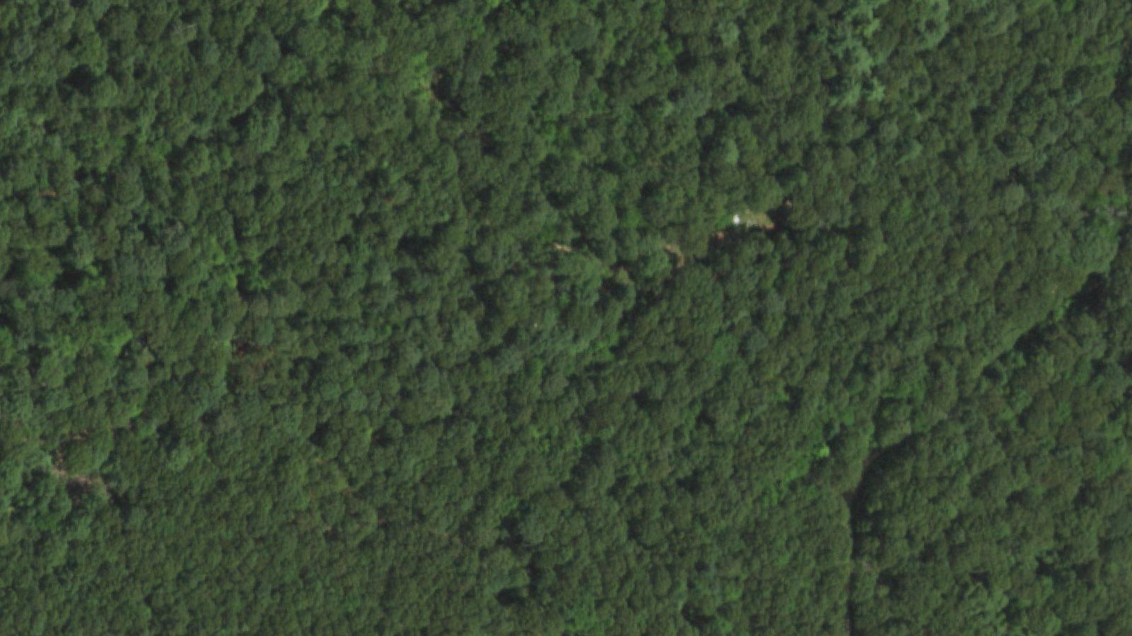 Aerial survey view of Blydenburgh Park Historic District (Blydenburgh Grist Mill)