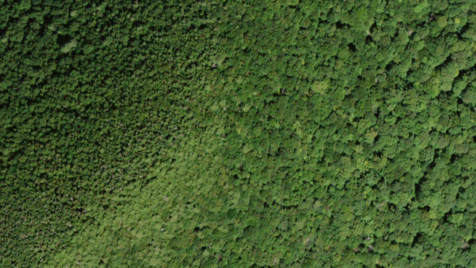 Aerial survey view of Devil's Kitchen (Indian Head Wilderness)