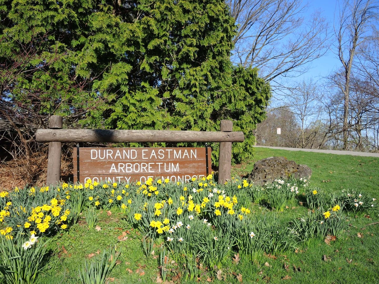 Wooded entrance and arboretum sign at Durand Eastman Park, the 965-acre Olmsted-influenced park on Rochester, New York's Lake Ontario shore