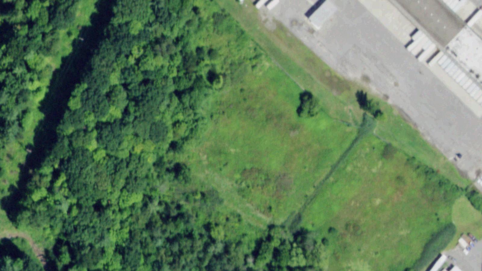 Aerial survey view of Graceland Cemetery (Albany)