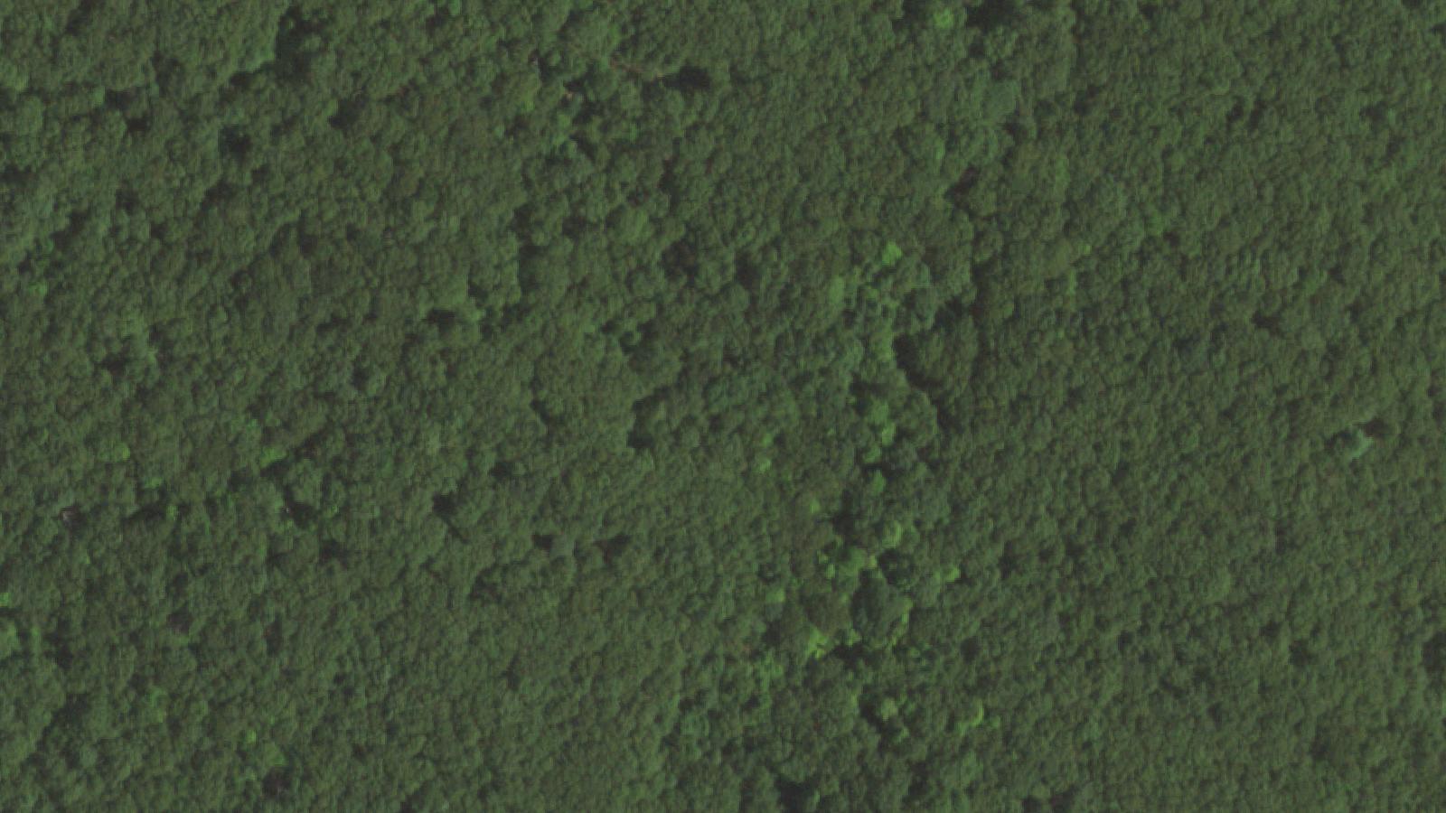 Aerial survey view of West Hills County Park (Mount Misery)