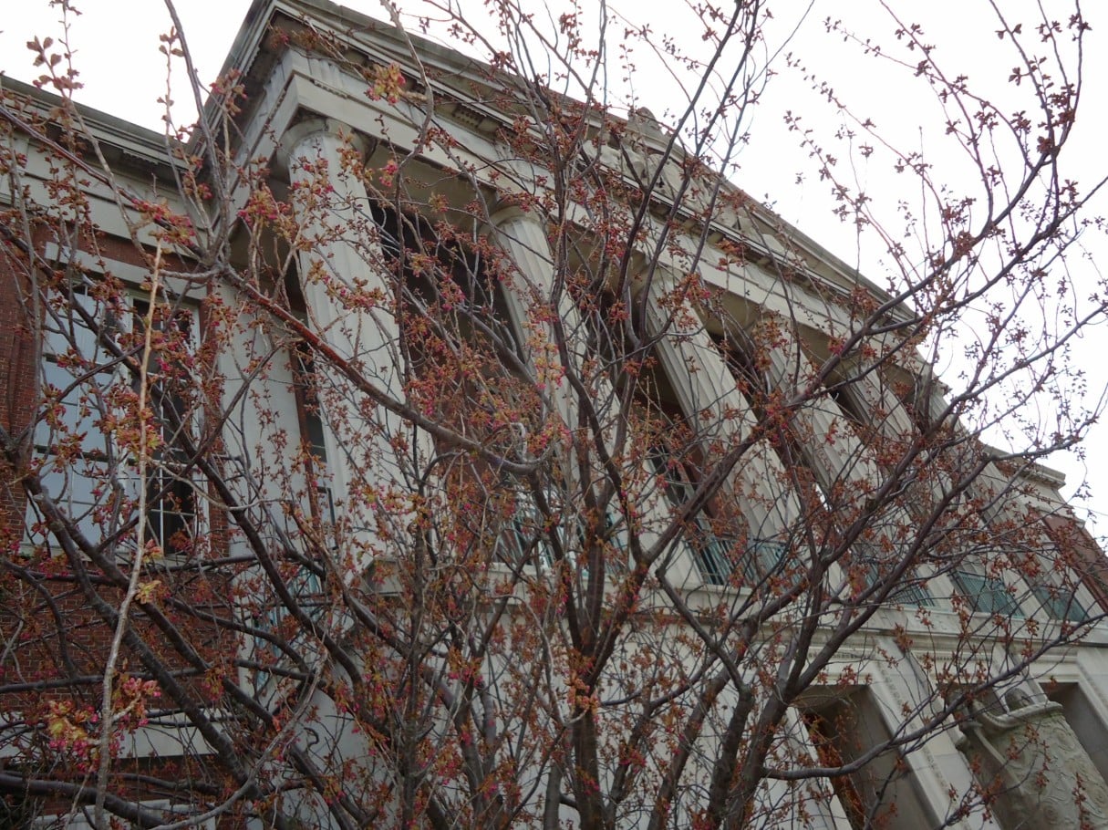 Entrance facade of Rush Rhees Library at the University of Rochester, Rochester, New York, showing the 1930 Italianate-Neo-Romanesque arcade and central tower.