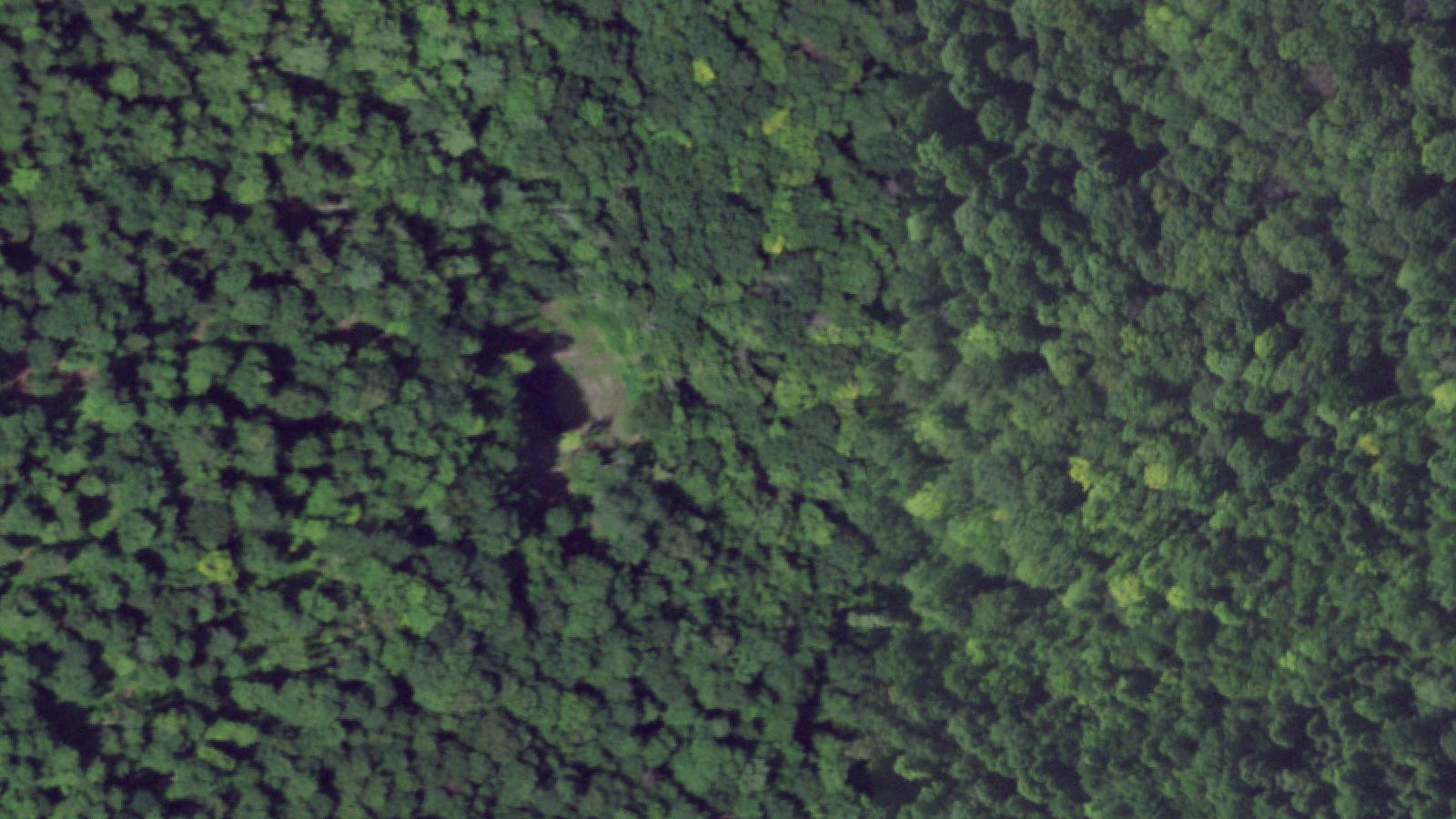 Aerial survey view of Whiskey Hollow Road