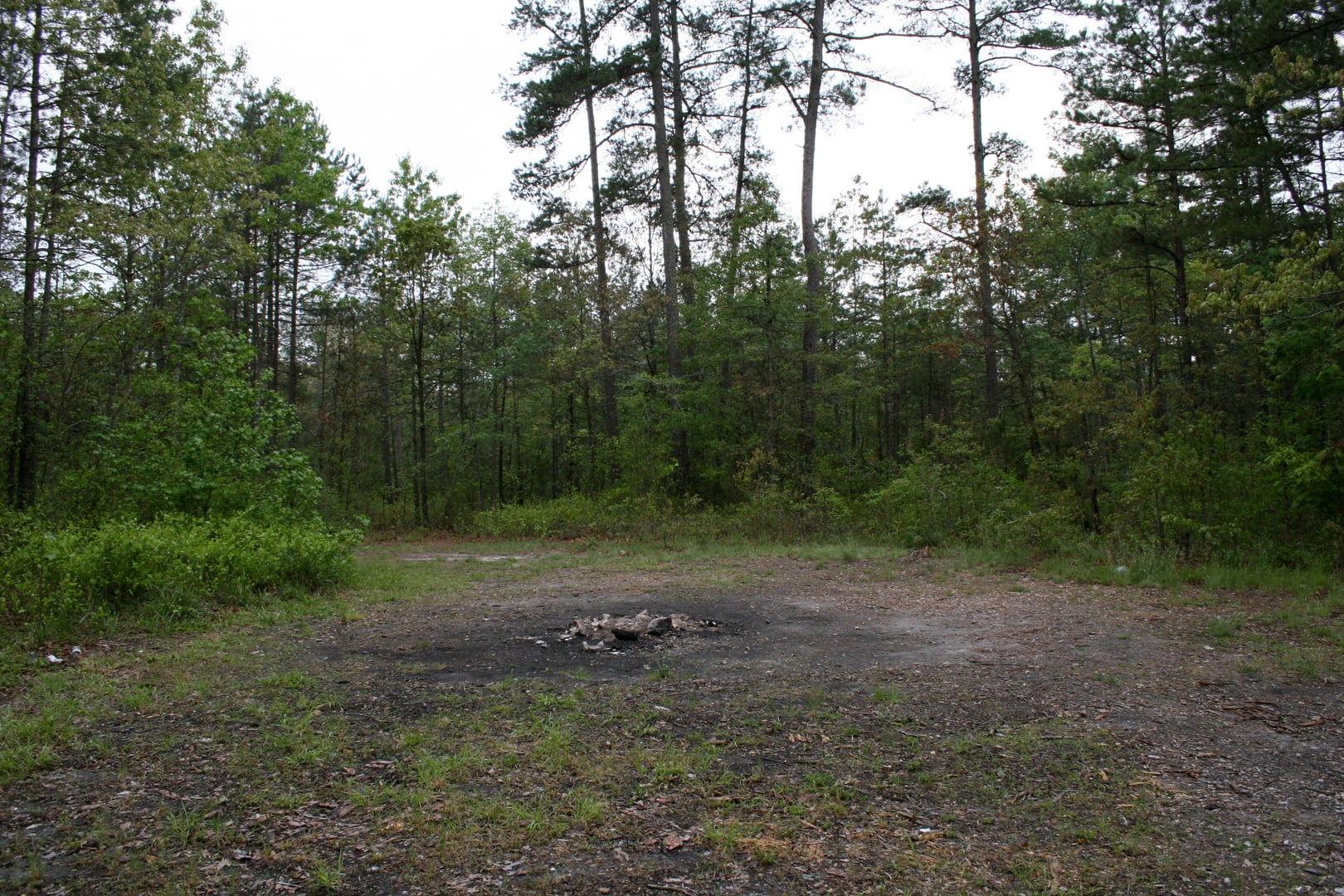 The Devil's Tramping Ground bare-earth circle in the woods of Chatham County, North Carolina