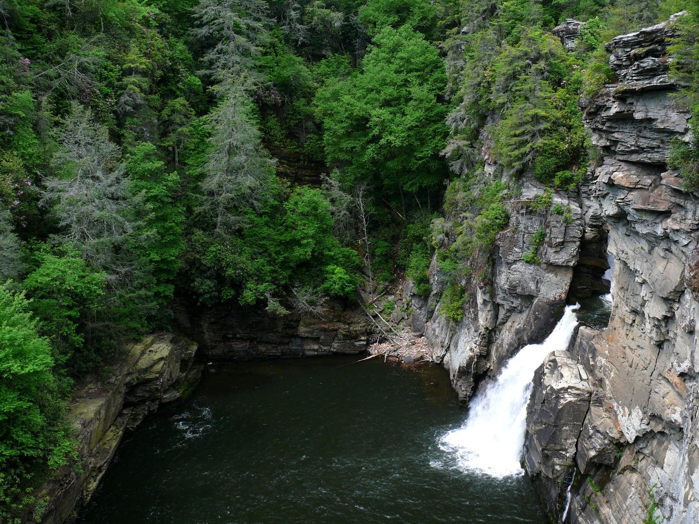 Photo of Linville Gorge Wilderness