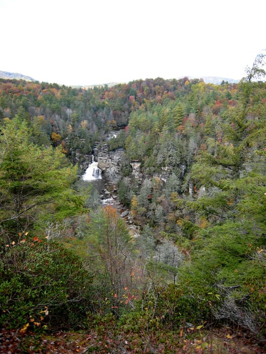 Mixed Appalachian forest with Tsuga caroliniana at right. Linville Falls, Linville Gorge, Burke County, North Carolina, USA.