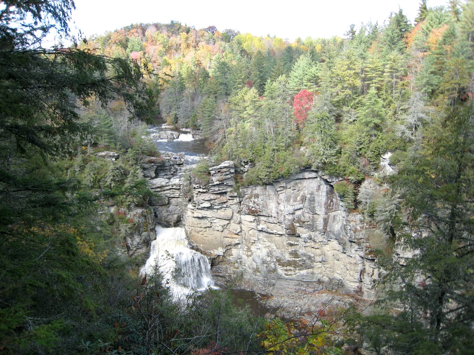 Mixed Appalachian forest with Tsuga caroliniana at left. Linville Falls, Linville Gorge, Burke County, North Carolina, USA.
