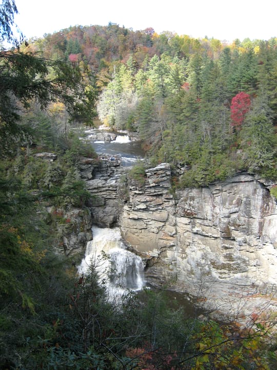Mixed Appalachian forest with Tsuga caroliniana at left. Linville Falls, Linville Gorge, Burke County, North Carolina, USA.