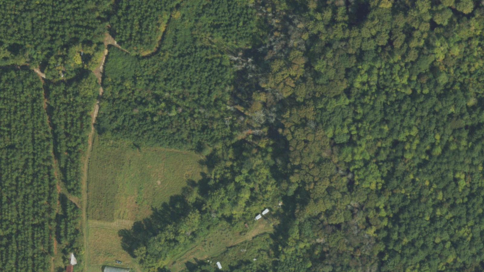 Aerial survey view of The Screaming Bridge