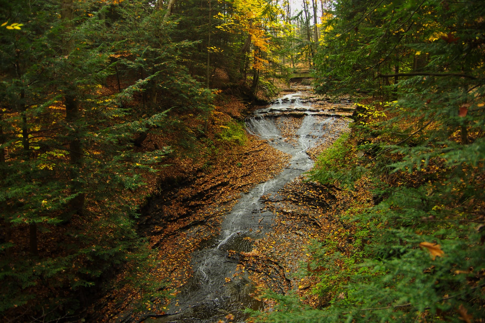 Waterfall cascading through wooded sandstone ledges inside Cuyahoga Valley National Park in northeastern Ohio