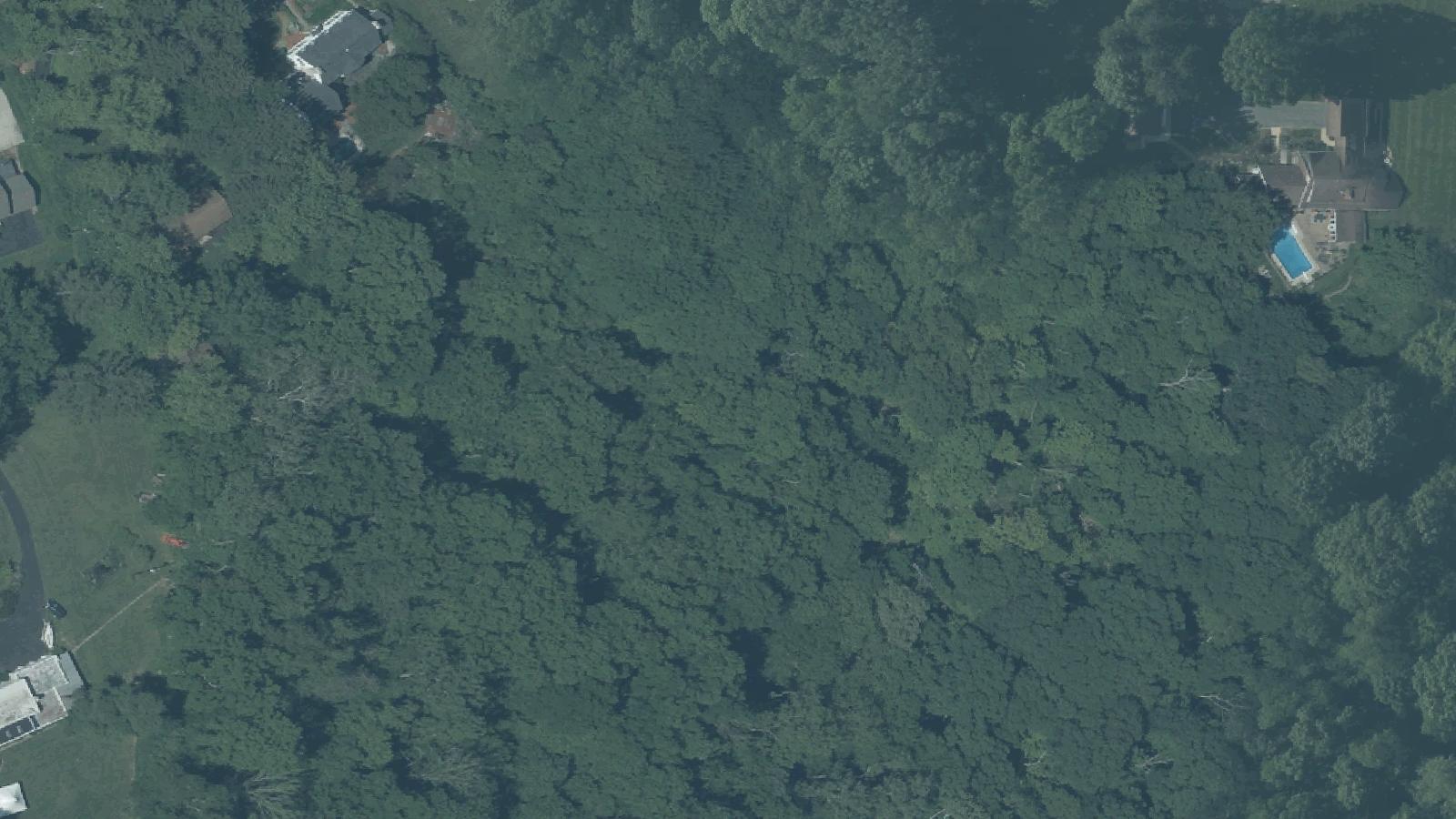 Aerial survey view of Grandview Cemetery