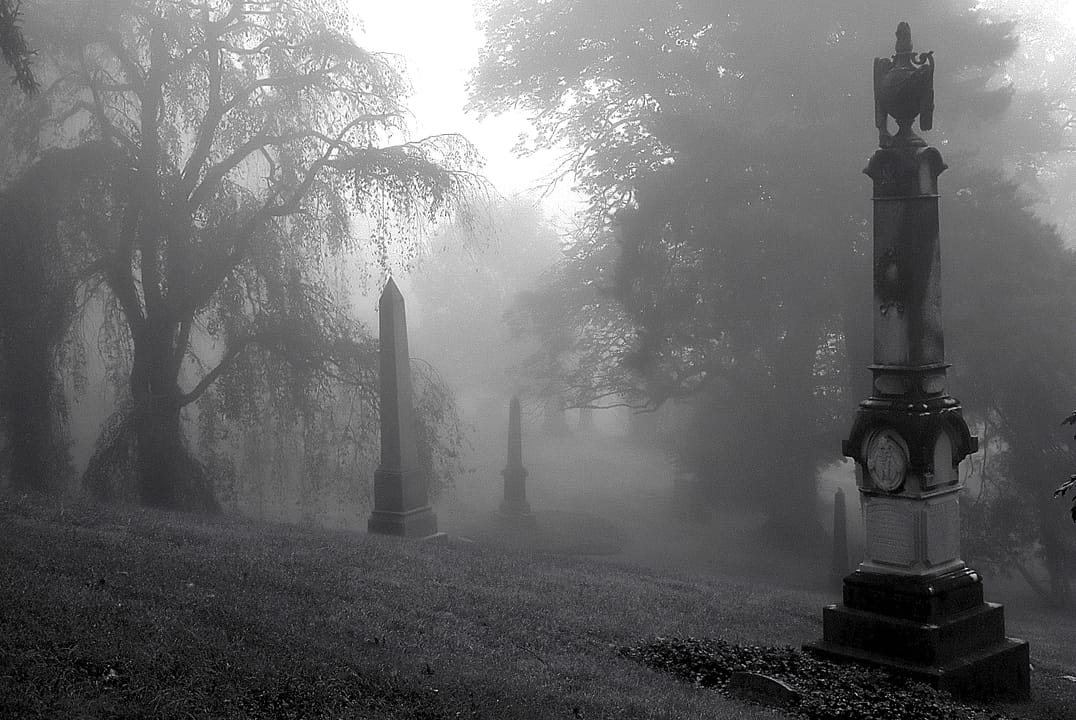Cincinnati - Spring Grove Cemetery &amp; Arboretum "Morning Foggy Hill"