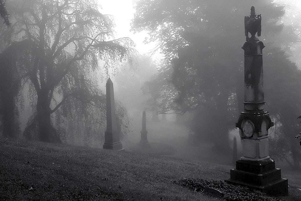 Cincinnati - Spring Grove Cemetery & Arboretum "Morning Foggy Hill"