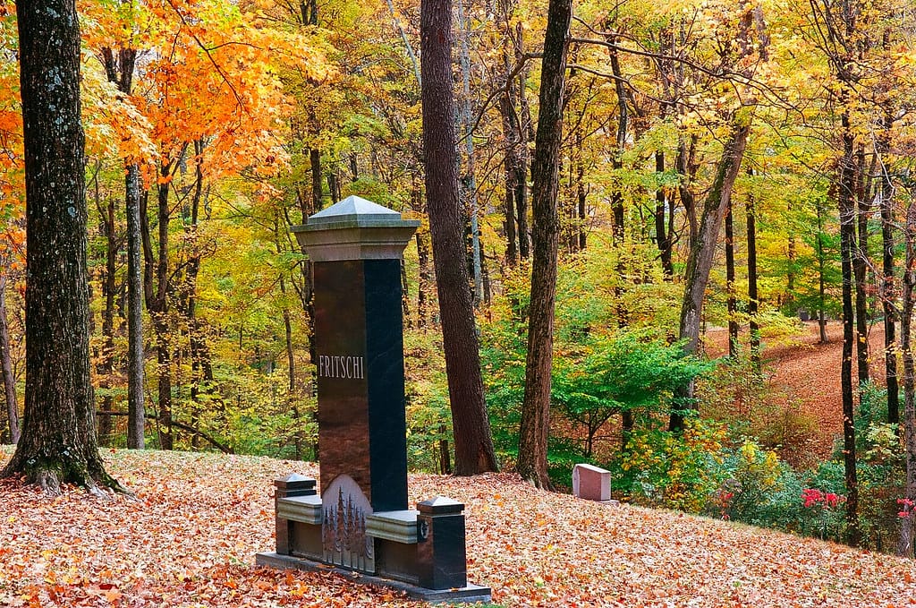 Cincinnati - Spring Grove Cemetery & Arboretum "Hilltop View In The New Section"