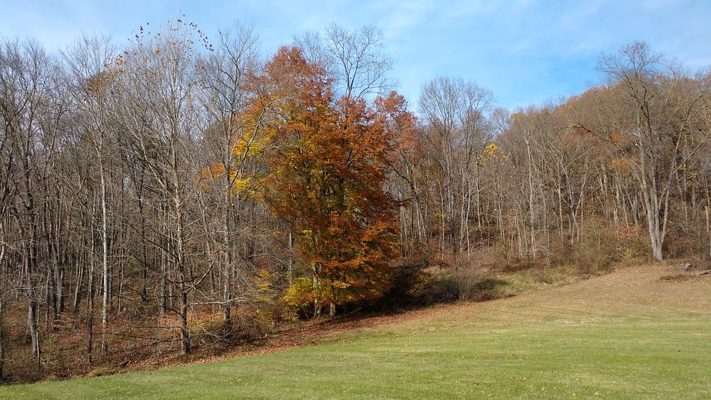 Logan, Ohio