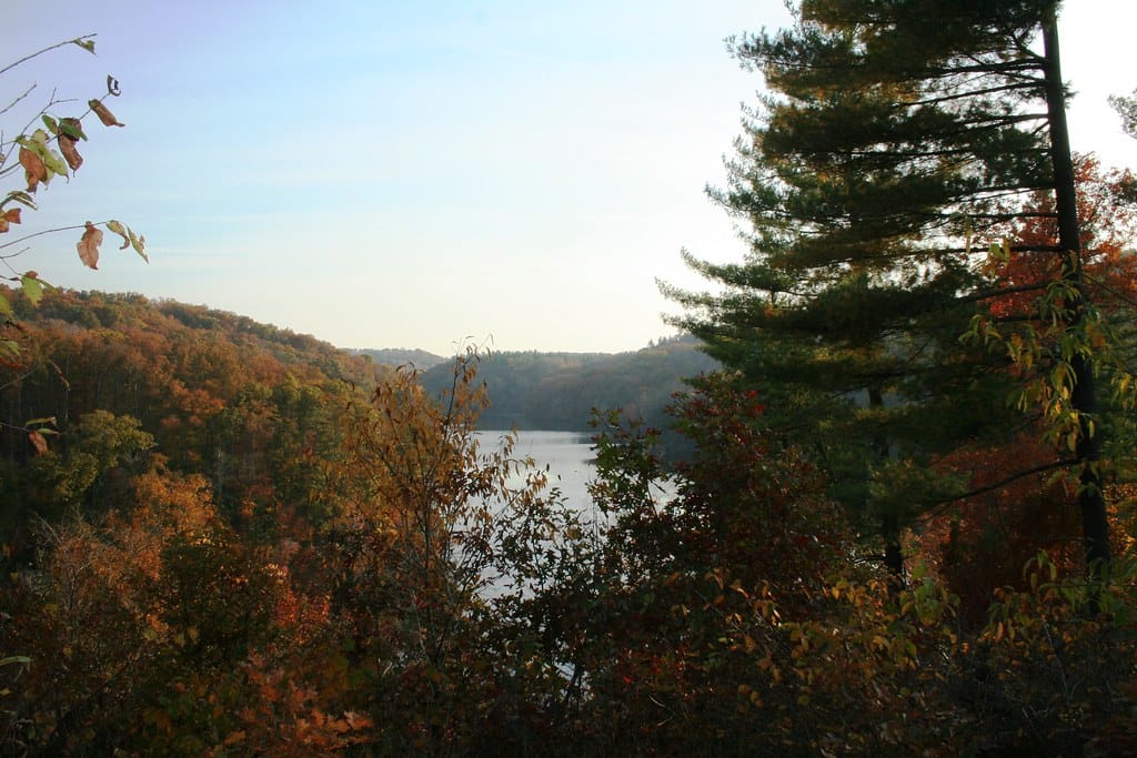 Wayne National Forest, Ironton Ranger District; Lake Vesuvius Recreation Area in Pedro, OH