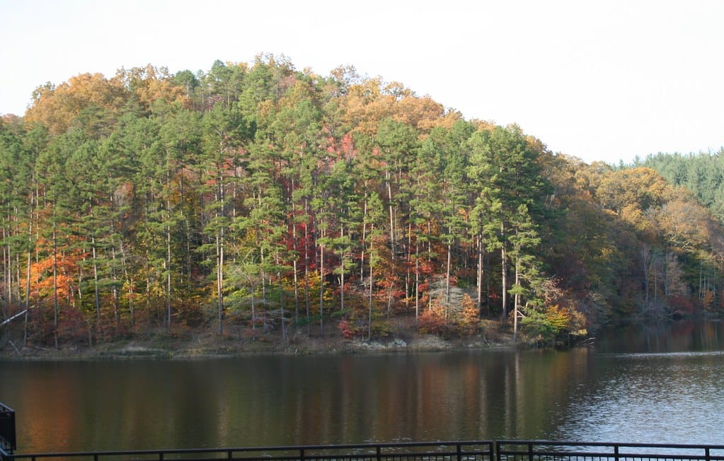 Wayne National Forest, Ironton Ranger District; Lake Vesuvius Recreation Area in Pedro, OH
