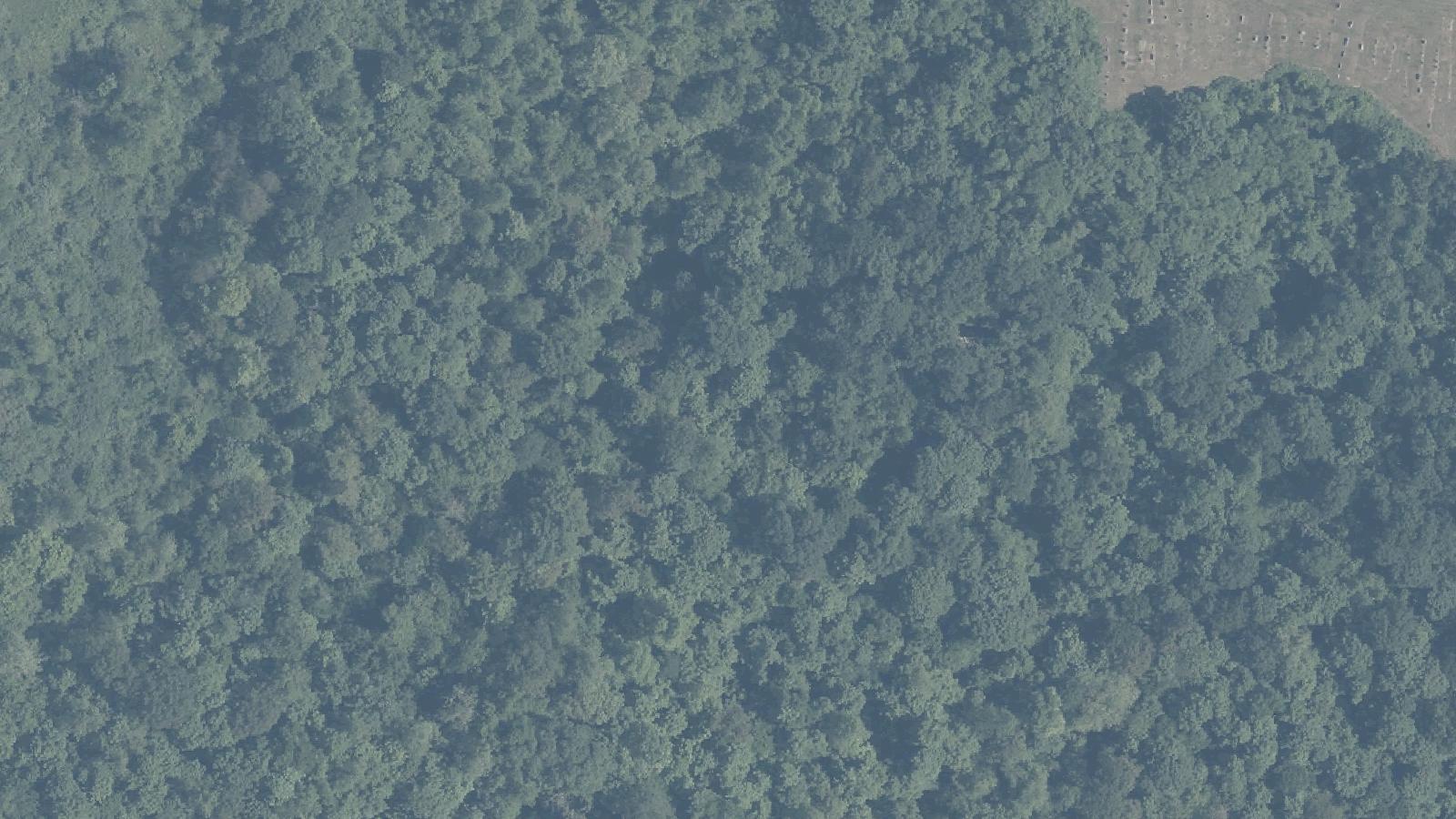Aerial survey view of Lawrence Chapel Graveyard