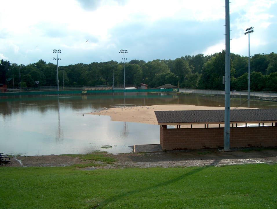 Packard Park seagulls escaping the flood