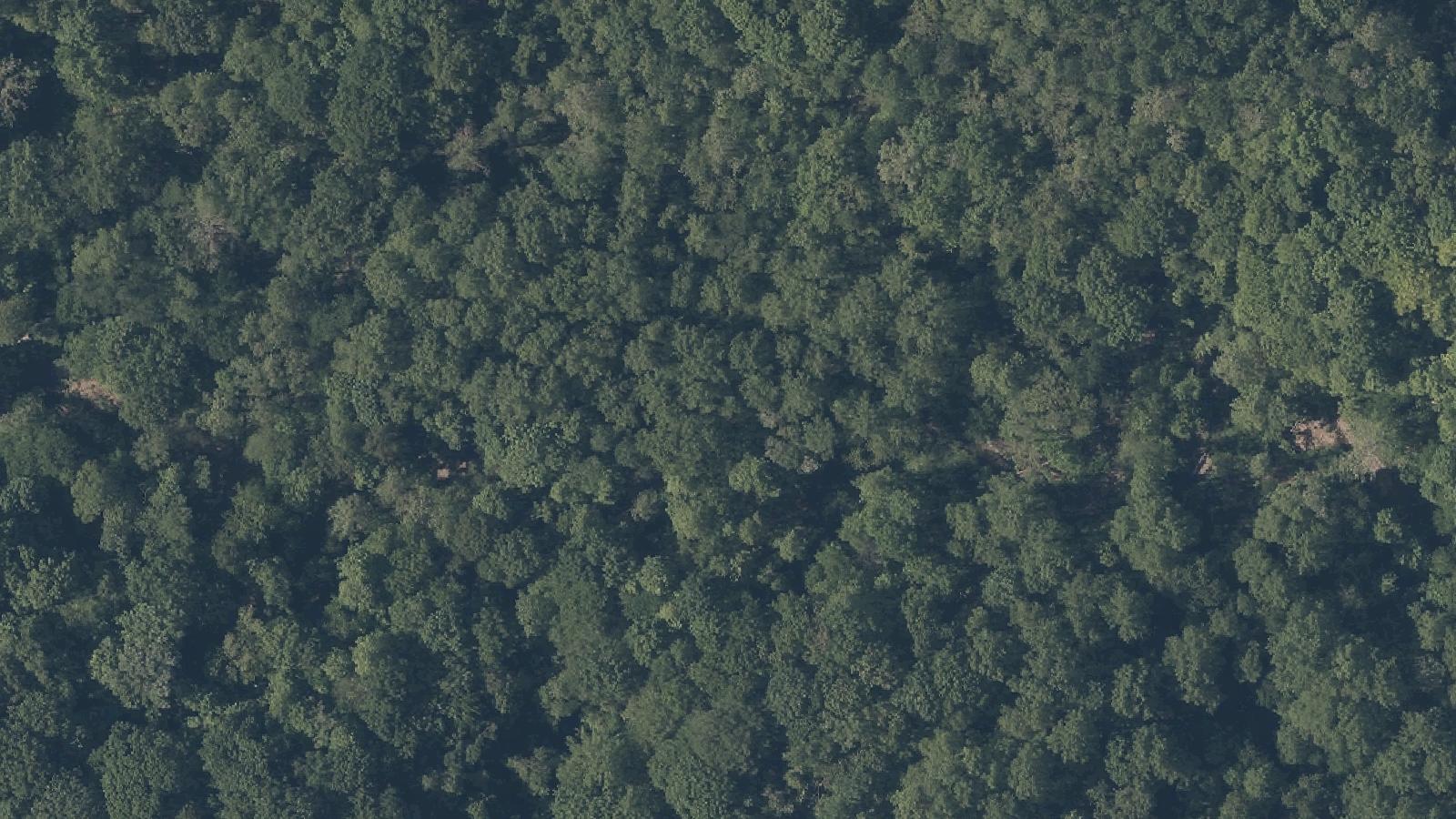 Aerial survey view of Tinker's Creek Cemetery