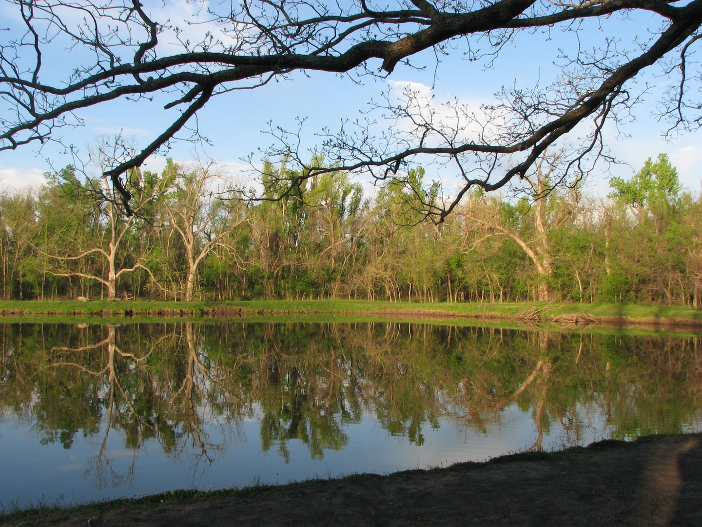 Wooded trail through Mohawk Park in Tulsa, Oklahoma