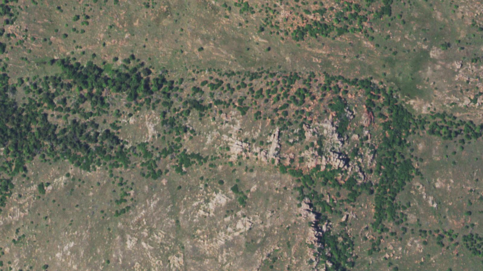 Aerial survey view of The Parallel Forest (Wichita Mountains Wildlife Refuge)