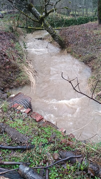 Coffee Creek