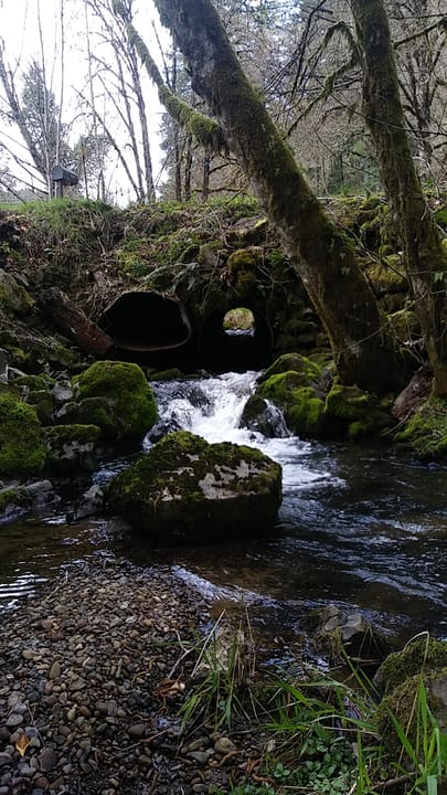 Culverts between Coffee and Gales Creek