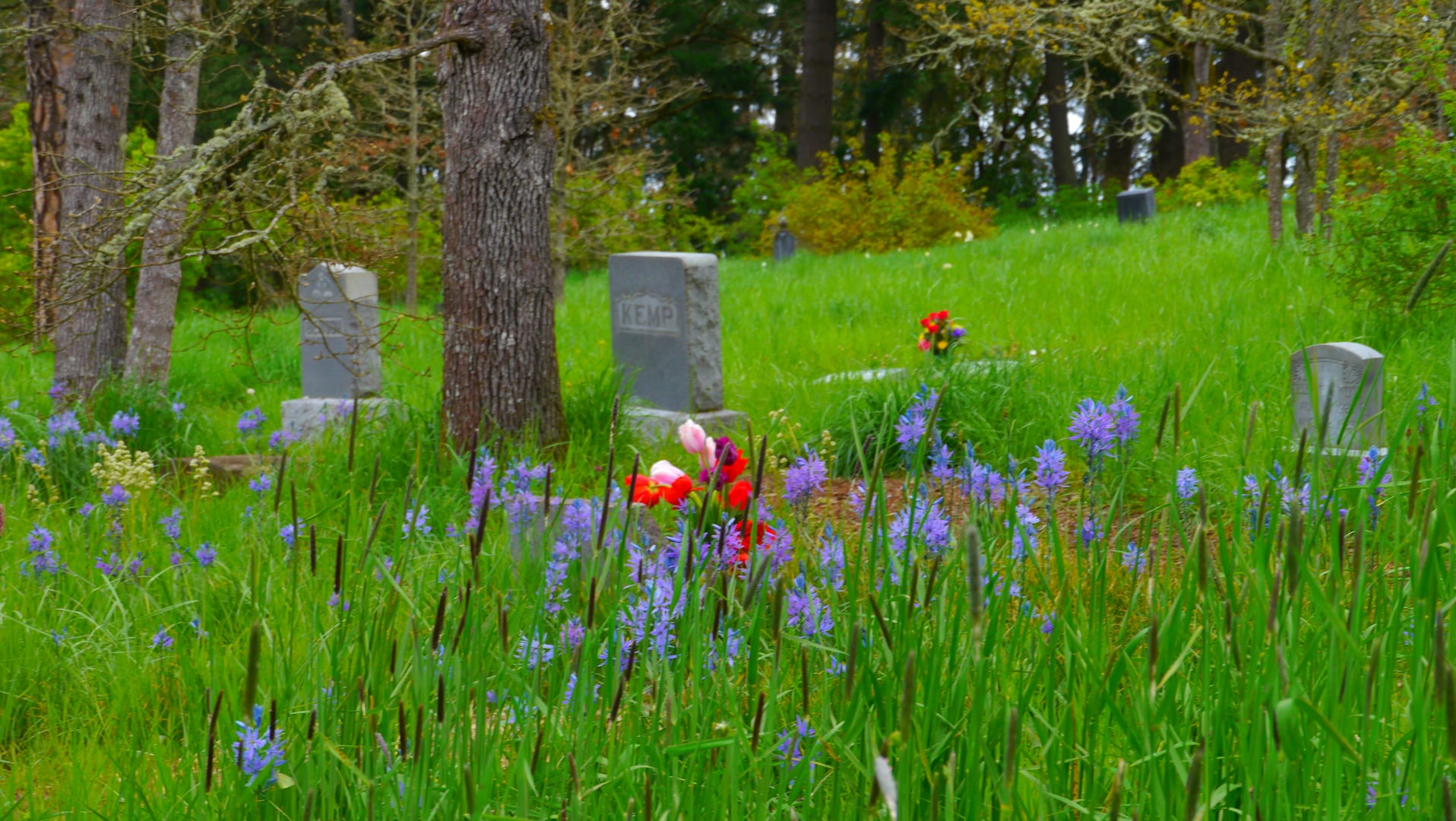 Hope Abbey Mausoleum at the Eugene Masonic Cemetery, an Egyptian Revival structure in Eugene, Oregon.