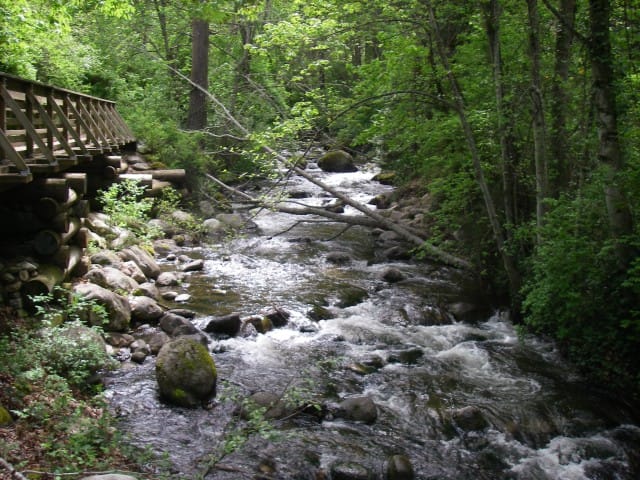 Lithia Creek