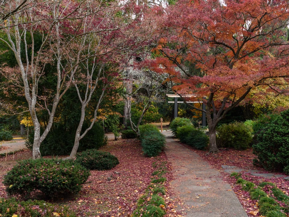 Japanese Garden, Lithia Park, Ashland, Oregon.