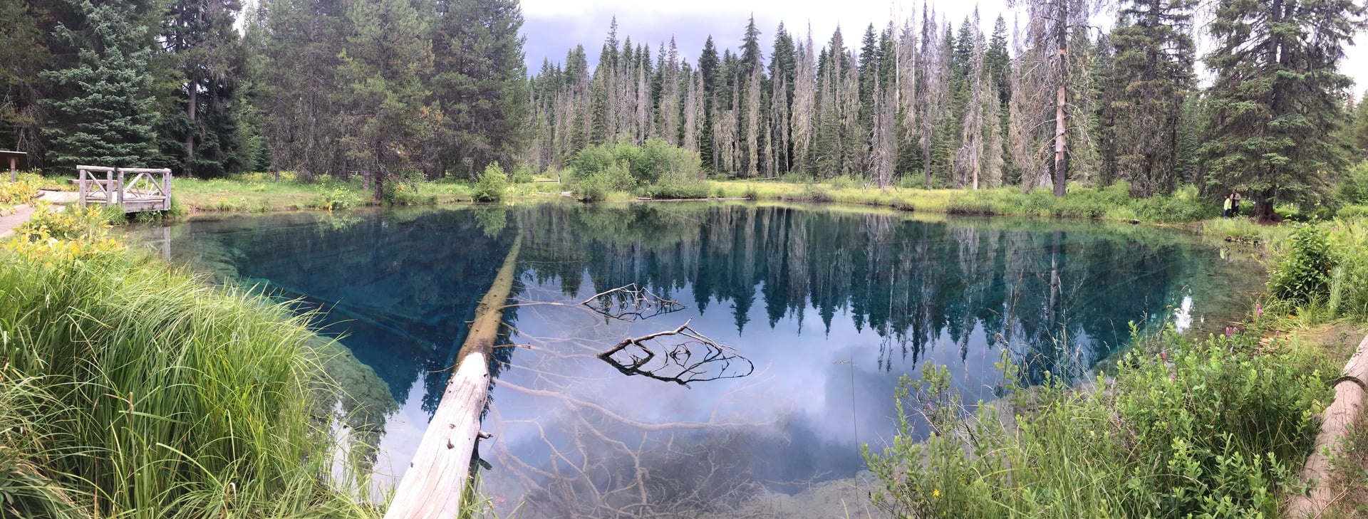 Little Crater Lake, brilliant blue artesian spring-fed lake in Mount Hood National Forest, Oregon