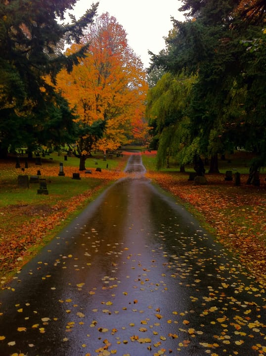 A tree-lined avenue through Lone Fir Cemetery carpeted in fall leaves, October 2010.